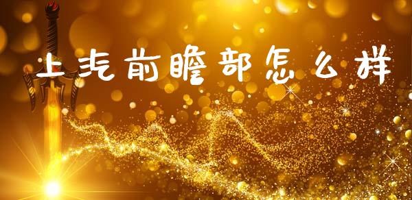 上汽前瞻部怎么样_https://wap.lxcailiao.com_融资担保_第1张