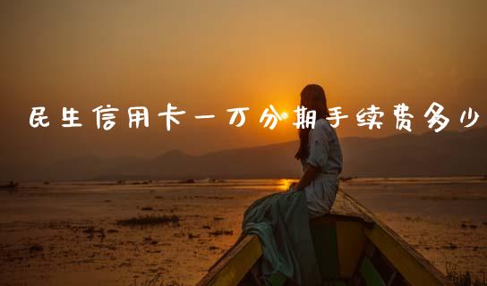 民生信用卡一万分期手续费多少_https://wap.lxcailiao.com_股权投资_第1张