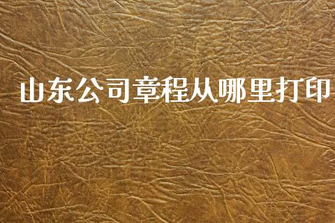 山东公司章程从哪里打印_https://wap.lxcailiao.com_财务管理_第1张