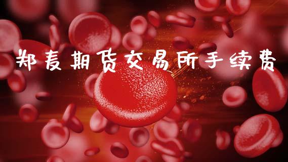 郑麦期货交易所手续费_https://wap.lxcailiao.com_股权投资_第1张