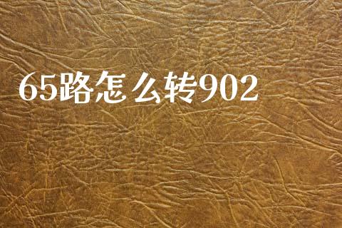 65路怎么转902_https://wap.lxcailiao.com_股权投资_第1张