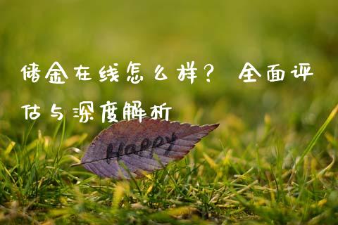 储金在线怎么样？ 全面评估与深度解析_https://wap.lxcailiao.com_股权投资_第1张