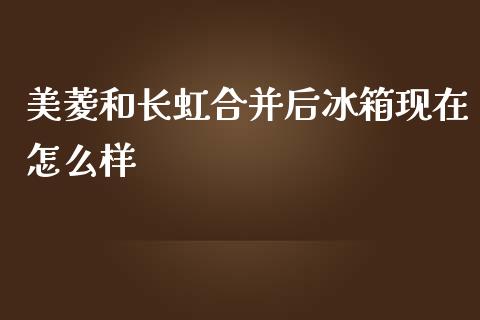 美菱和长虹合并后冰箱现在怎么样_https://wap.lxcailiao.com_财务管理_第1张