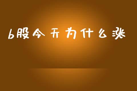 b股今天为什么涨_https://wap.lxcailiao.com_融资担保_第1张