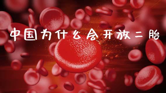 中国为什么会开放二胎_https://wap.lxcailiao.com_融资担保_第1张
