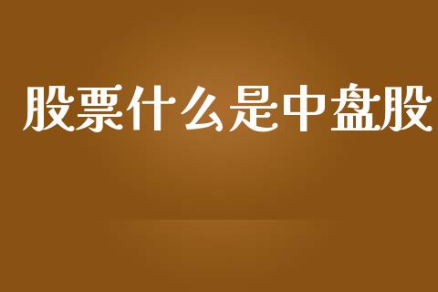 股票什么是中盘股_股权投资_第1张_金融监管_融资担保_财务管理_股权投资 股票什么是中盘股_https://wap.lxcailiao.com_股权投资_第1张