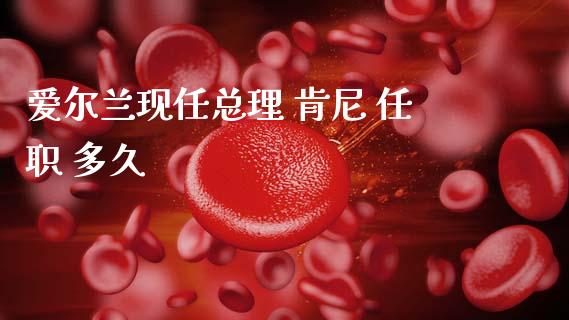 爱尔兰现任总理 肯尼 任职 多久_https://wap.lxcailiao.com_股权投资_第1张