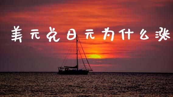 美元兑日元为什么涨_https://wap.lxcailiao.com_股权投资_第1张
