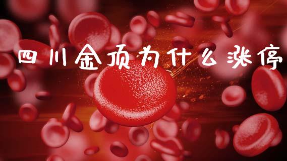 四川金顶为什么涨停_https://wap.lxcailiao.com_财务管理_第1张