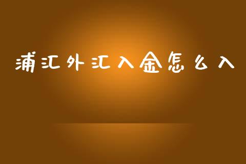 浦汇外汇入金怎么入_https://wap.lxcailiao.com_财务管理_第1张