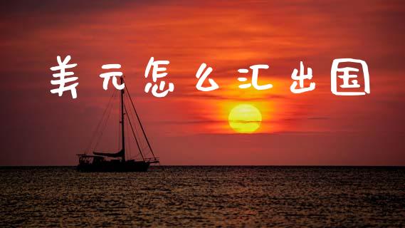 美元怎么汇出国_https://wap.lxcailiao.com_金融监管_第1张