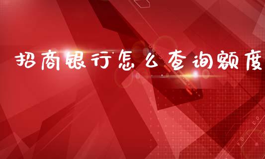 招商银行怎么查询额度_https://wap.lxcailiao.com_融资担保_第1张
