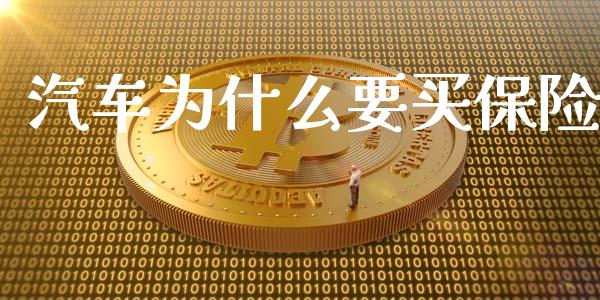 汽车为什么要买保险_https://wap.lxcailiao.com_金融监管_第1张