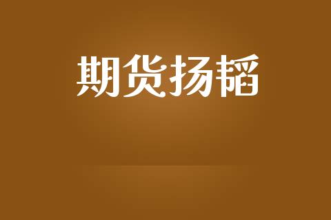 期货扬韬_https://wap.lxcailiao.com_财务管理_第1张