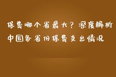 保费哪个省最大？深度解析中国各省份保费支出情况_https://wap.lxcailiao.com_财务管理_第1张