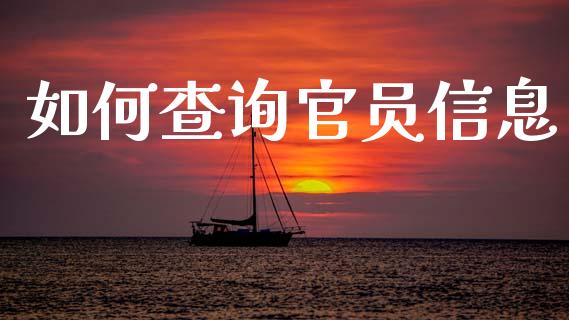 如何查询官员信息_https://wap.lxcailiao.com_金融监管_第1张