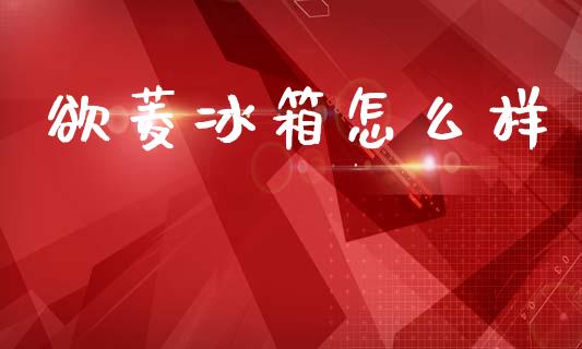 欲菱冰箱怎么样_https://wap.lxcailiao.com_财务管理_第1张