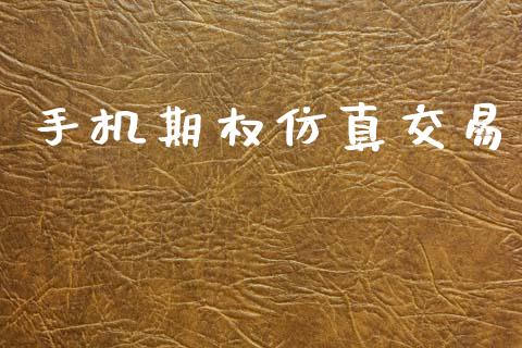 手机期权仿真交易_https://wap.lxcailiao.com_股权投资_第1张