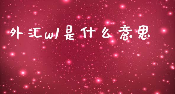 外汇w1是什么意思_https://wap.lxcailiao.com_股权投资_第1张