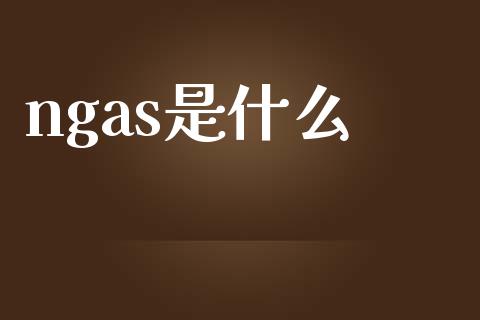ngas是什么_https://wap.lxcailiao.com_融资担保_第1张