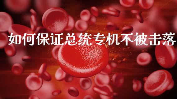 如何保证总统专机不被击落_https://wap.lxcailiao.com_财务管理_第1张