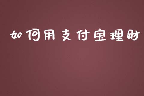 如何用支付宝理财_https://wap.lxcailiao.com_融资担保_第1张
