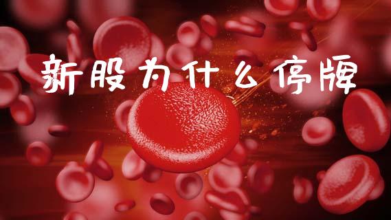 新股为什么停牌_https://wap.lxcailiao.com_融资担保_第1张