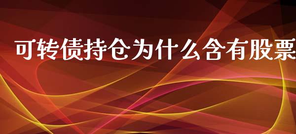 可转债持仓为什么含有股票_https://wap.lxcailiao.com_融资担保_第1张