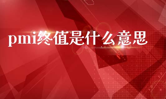 pmi终值是什么意思_https://wap.lxcailiao.com_金融监管_第1张