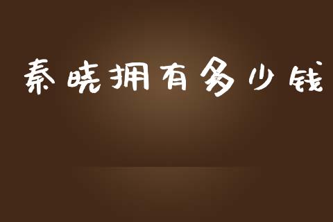 秦晓拥有多少钱_https://wap.lxcailiao.com_股权投资_第1张