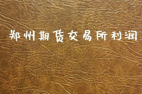 郑州期货交易所利润_https://wap.lxcailiao.com_财务管理_第1张