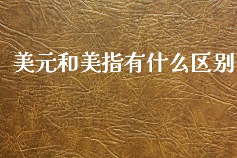 美元和美指有什么区别_https://wap.lxcailiao.com_金融监管_第1张