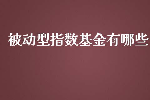 被动型指数基金有哪些_https://wap.lxcailiao.com_金融监管_第1张