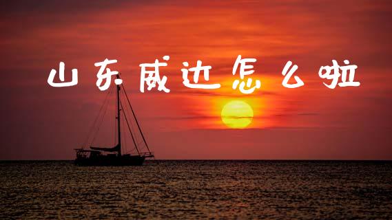 山东威达怎么啦_https://wap.lxcailiao.com_财务管理_第1张