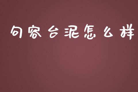 句容台泥怎么样_https://wap.lxcailiao.com_融资担保_第1张
