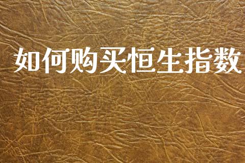 如何购买恒生指数_https://wap.lxcailiao.com_财务管理_第1张