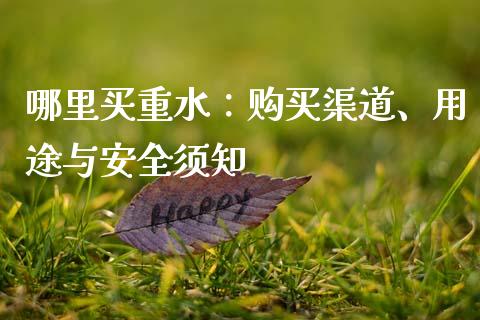 哪里买重水：购买渠道、用途与安全须知_https://wap.lxcailiao.com_财务管理_第1张