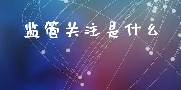 监管关注是什么_https://wap.lxcailiao.com_财务管理_第1张