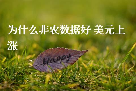 为什么非农数据好 美元上涨_https://wap.lxcailiao.com_融资担保_第1张