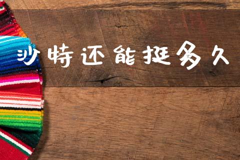 沙特还能挺多久_https://wap.lxcailiao.com_金融监管_第1张