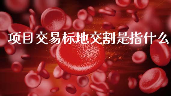 项目交易标地交割是指什么_https://wap.lxcailiao.com_财务管理_第1张