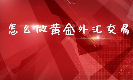 怎么做黄金外汇交易_https://wap.lxcailiao.com_金融监管_第1张