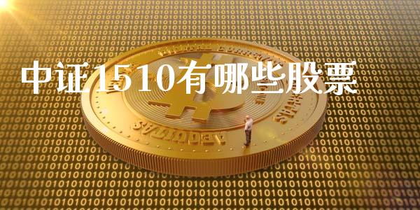 中证1510有哪些股票_https://wap.lxcailiao.com_金融监管_第1张