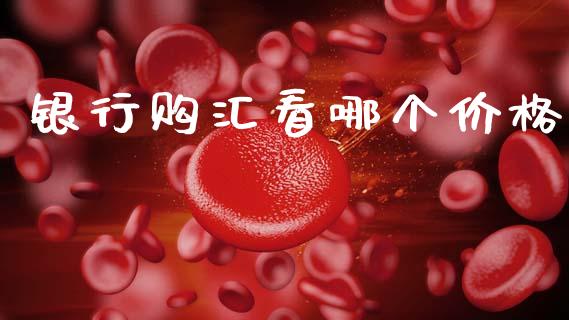 银行购汇看哪个价格_https://wap.lxcailiao.com_融资担保_第1张