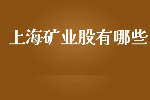 上海矿业股有哪些_https://wap.lxcailiao.com_股权投资_第1张