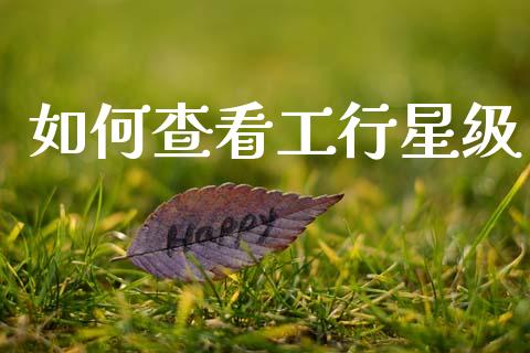 如何查看工行星级_https://wap.lxcailiao.com_股权投资_第1张