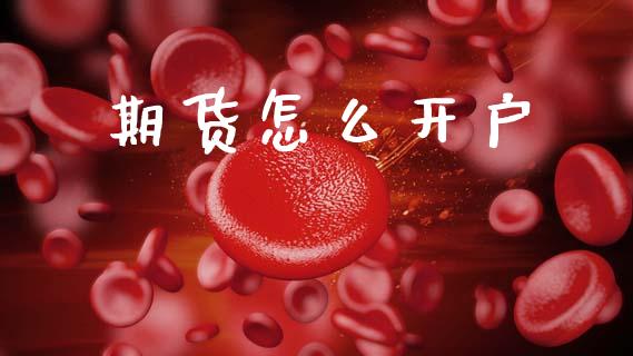 期货怎么开户_https://wap.lxcailiao.com_金融监管_第1张
