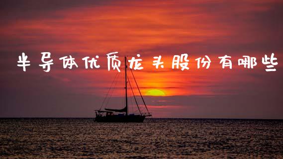 半导体优质龙头股份有哪些_https://wap.lxcailiao.com_财务管理_第1张