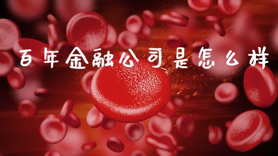百年金融公司是怎么样_https://wap.lxcailiao.com_财务管理_第1张