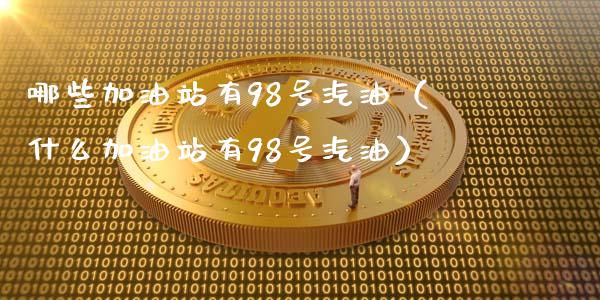 哪些加油站有98号汽油（什么加油站有98号汽油）_https://wap.lxcailiao.com_融资担保_第1张